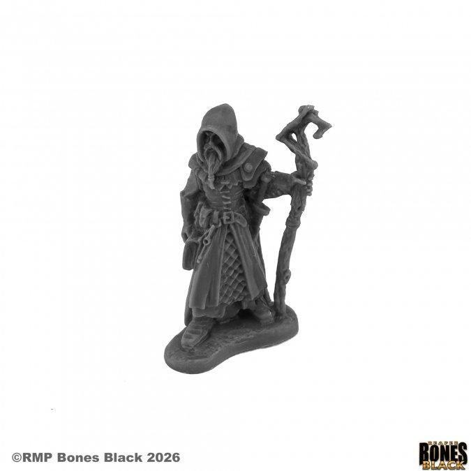Vodelis, Human Wizard (44266)