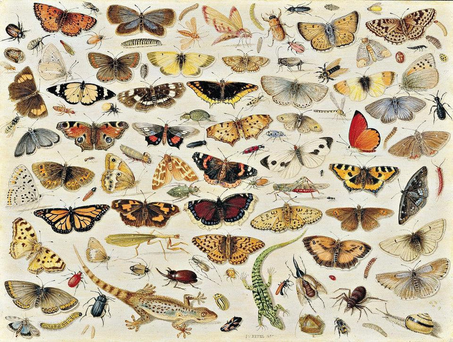 Artifact Wooden Puzzles - Jan van Kessel - Butterflies