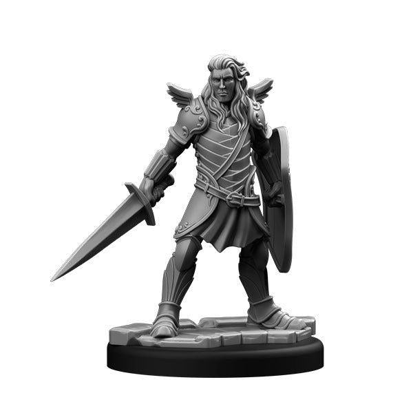 Aasimar Paladin & Dragonborn Cleric (PC Set)