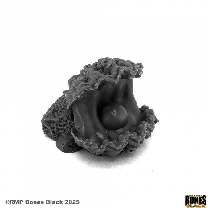 Giant Clam (44214)