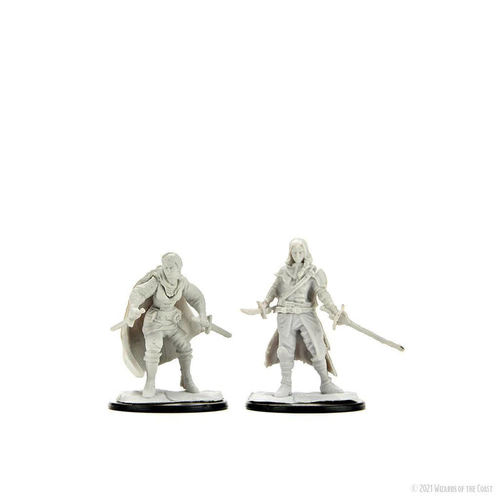 Female Half-Elf Rogue (WIZ90228)