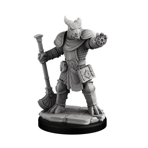 Aasimar Paladin & Dragonborn Cleric (PC Set)