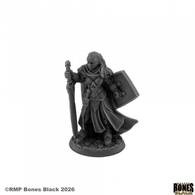 Jada Twinsuns, Paladin (44275)
