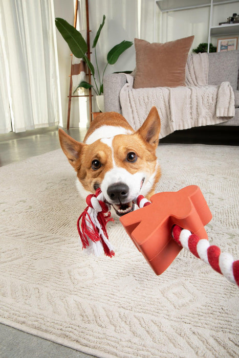 Meeple Dog Toy - Rubber and Rope (Red)