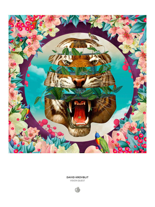 David Krovblit: Vision Quest (Pomegranate 1000pc)