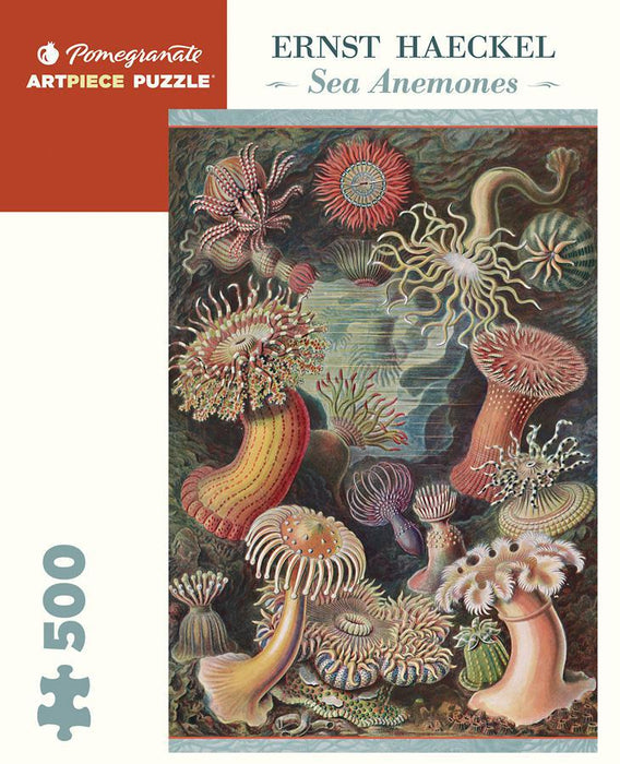 Ernst Haeckel - Sea Anemones (Pomegranate 500pc)