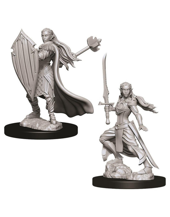 Elf Female Paladin (Nolzur)