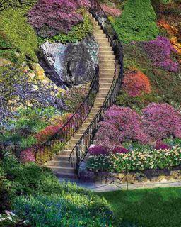 Garden Stairway (Springbok 500pc)