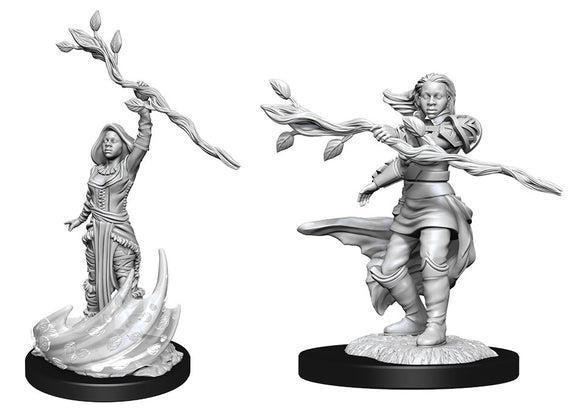 Female Human Druid (WIZ90223)