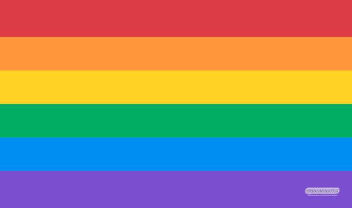 LGBTQ+ Pride Flag — GamerMats 24" x 14"