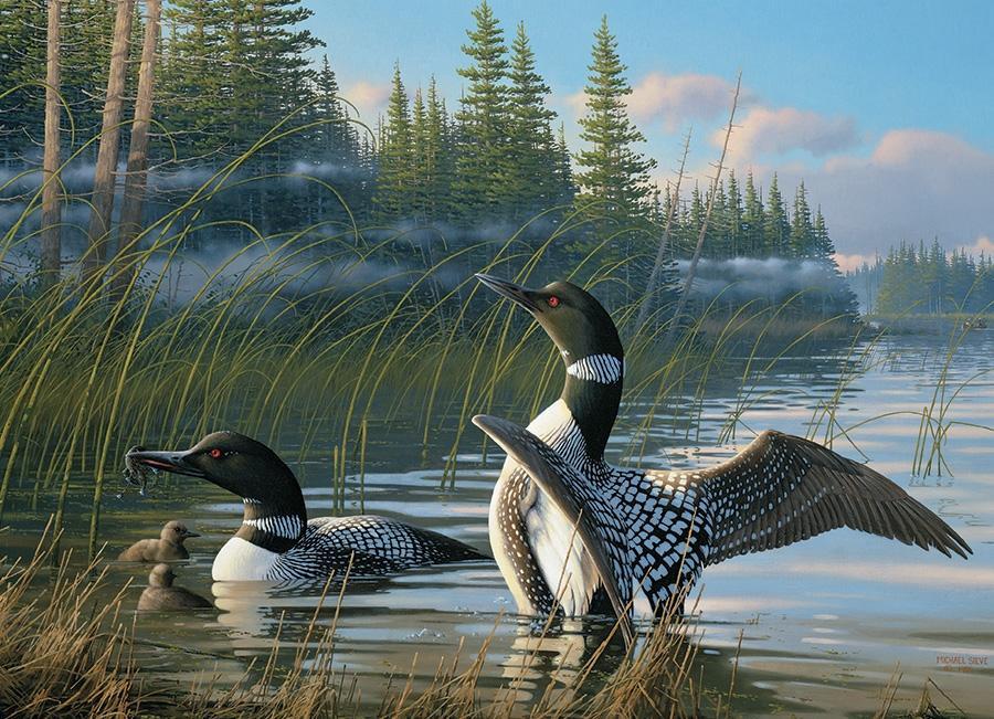 Common Loons (Cobble Hill 1000pc)