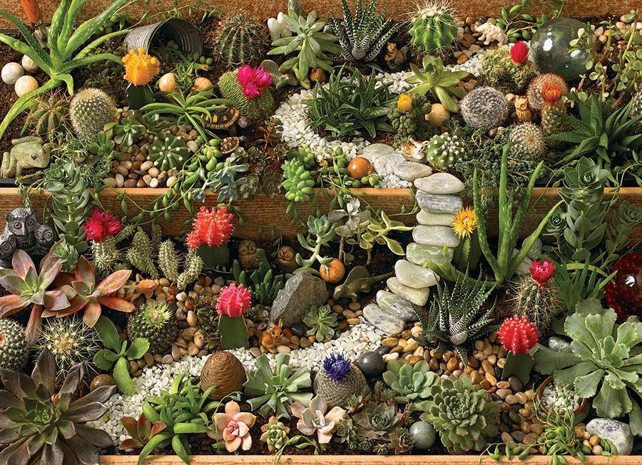 Succulent Garden (Cobble Hill 1000pc)