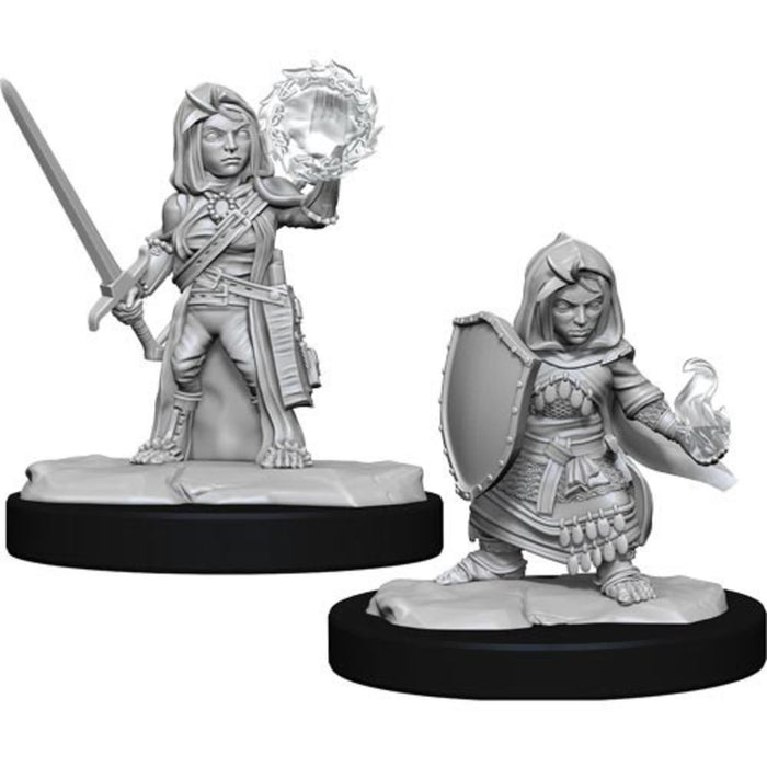 Female Halfling Cleric (WIZ90261)