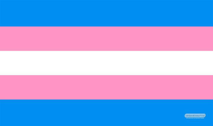 Transgender Flag — GamerMats 24" x 14"