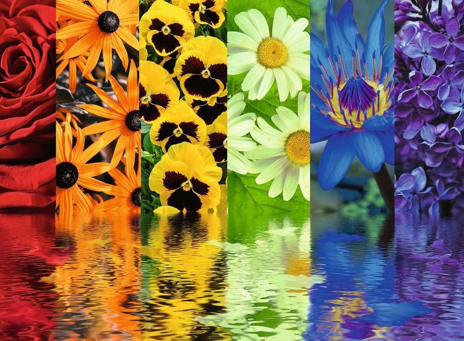 Floral Reflections (Ravensburger 500pc)